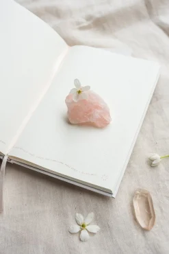 Discount Musings from the Moon A5 Journal